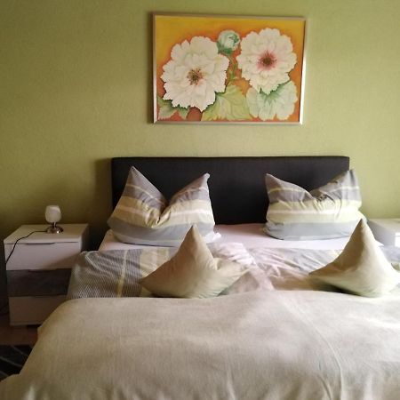Ferienwohnung Im Gruenen Diesbar-Seusslitz ภายนอก รูปภาพ