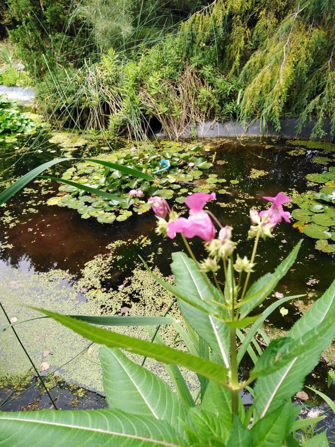 Ferienwohnung Im Gruenen Diesbar-Seusslitz ภายนอก รูปภาพ